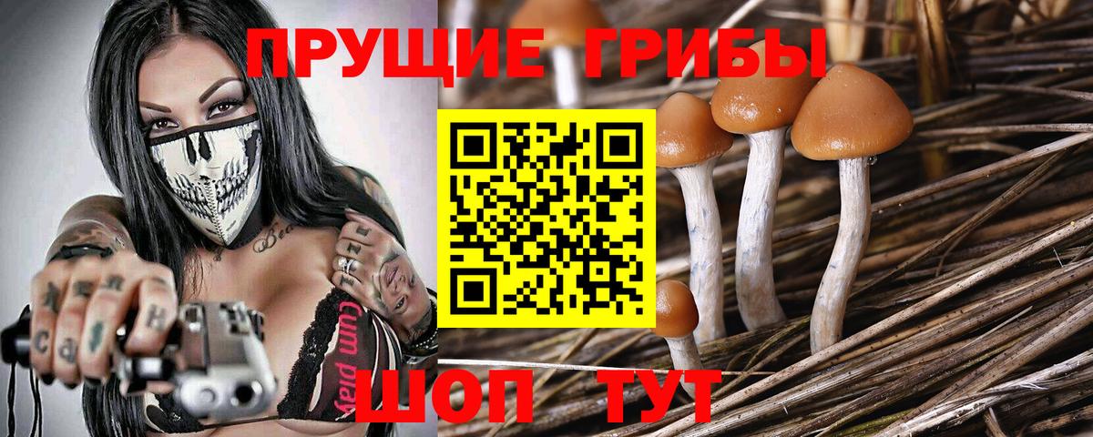 Кулебаки  Галлюциногенные грибы GOLDEN TEACHER  Псилоцибиновые грибы мухоморы  Вход с VPN 